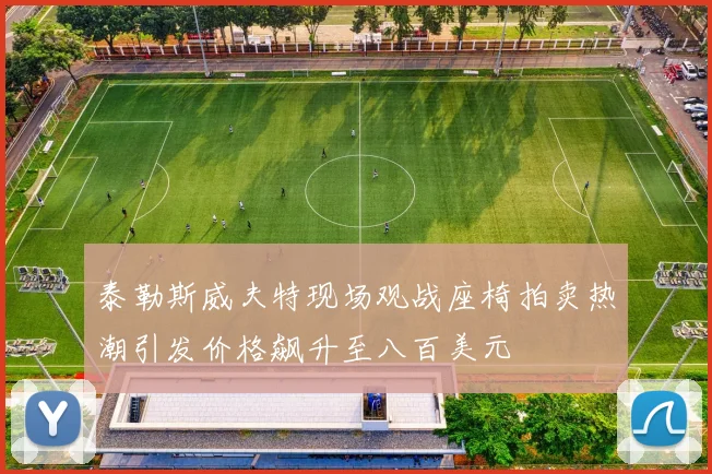 泰勒斯威夫特现场观战座椅拍卖热潮引发价格飙升至八百美元